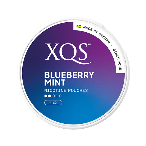 XQS Blueberry Mint 4mg